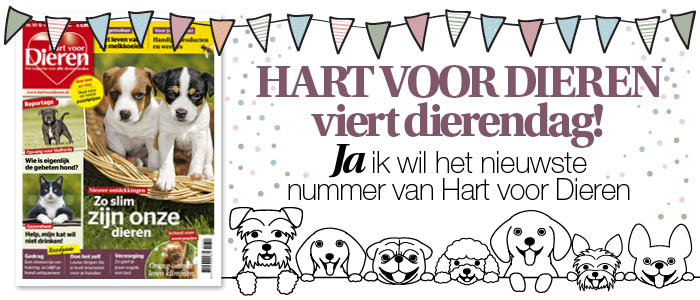 gratisnummer0.jpg