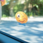 smoeltjes-raamsticker