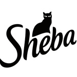 sheba-spin-wheel